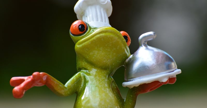 Cuisiner pour un orchestre : gérer les repas d'une tournée